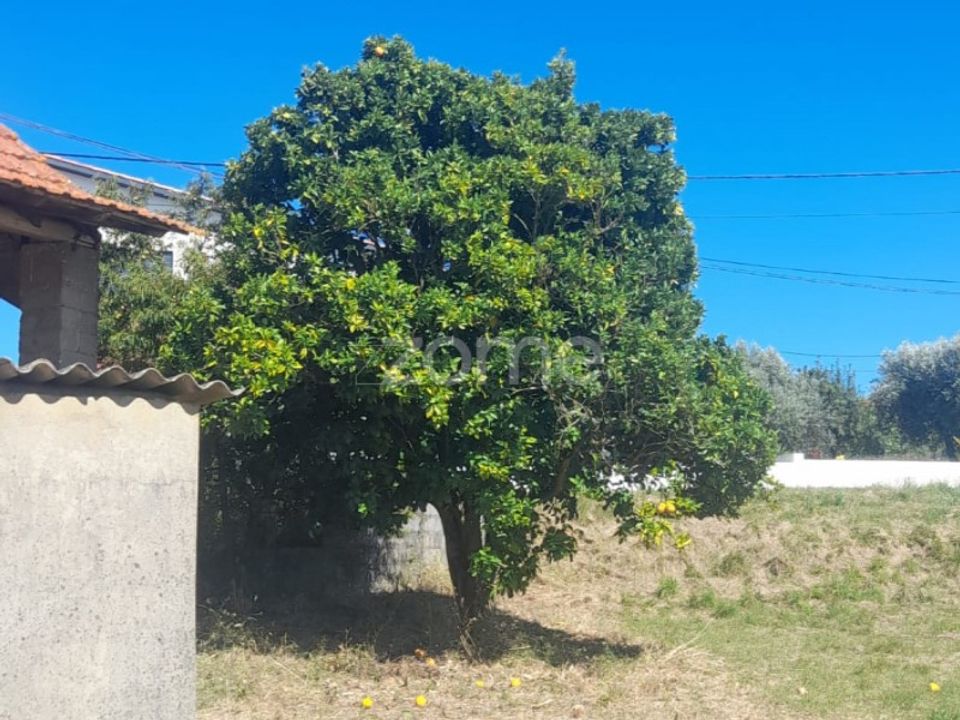 Helårsgrund i Pombal, Leiria - foto 5