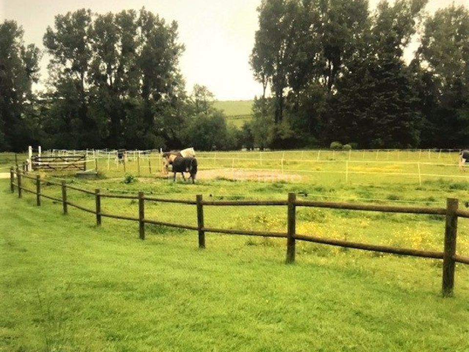 Landejendom i Neuvy-le-Roi, Indre-et-Loire - foto 4