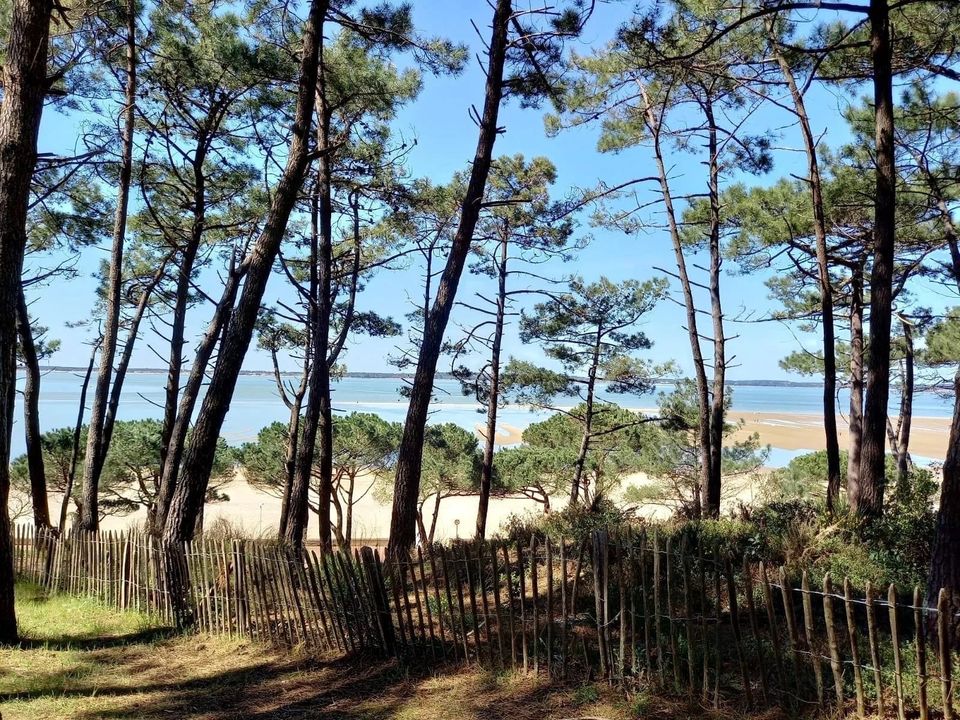 Villa i Arcachon, Gironde - foto 4