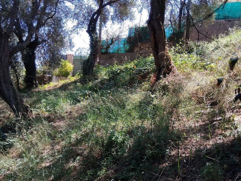 Villa i Menton, Alpes-Maritimes - foto 1