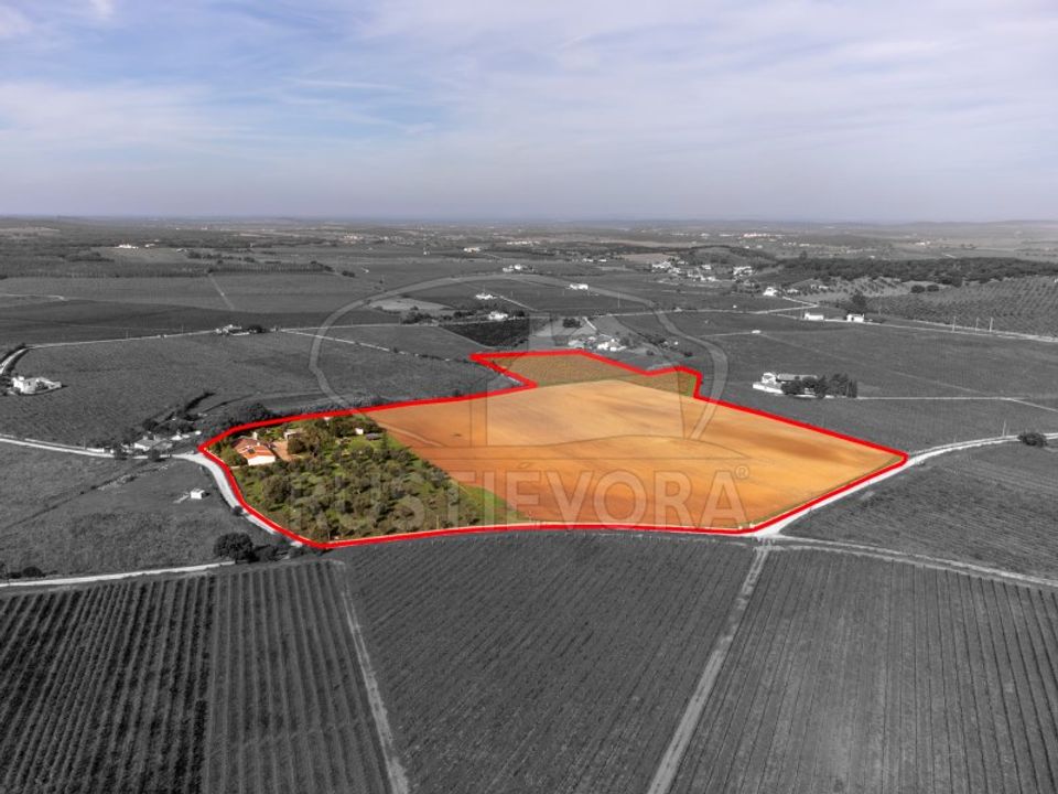 Granja en Borba, Evora - foto 3