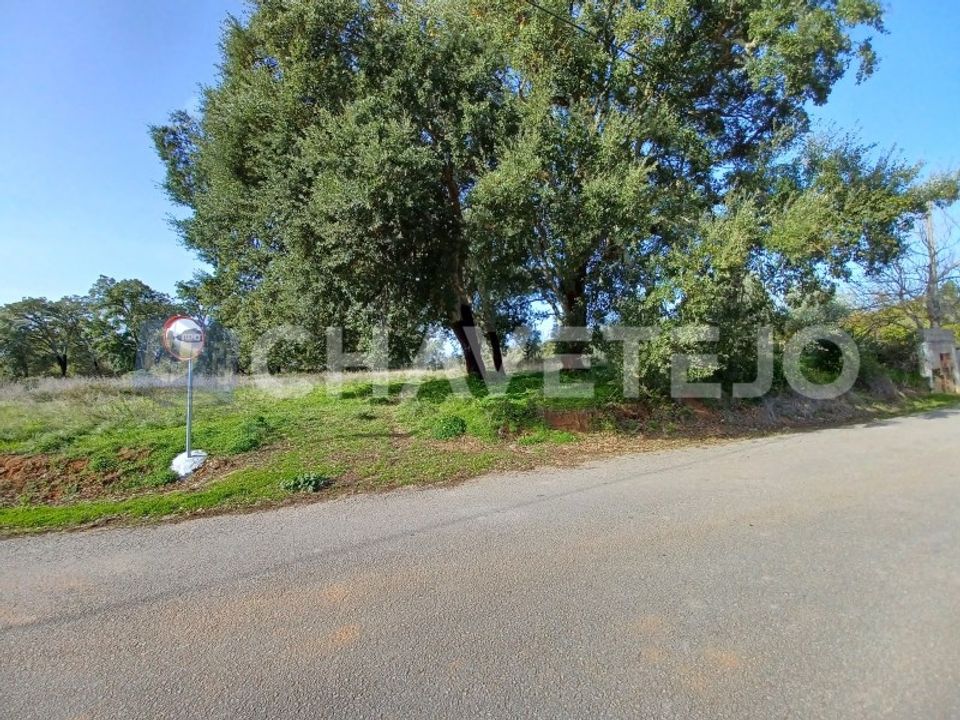 Helårsgrund i Casais e Alviobeira, Santarem - foto 2