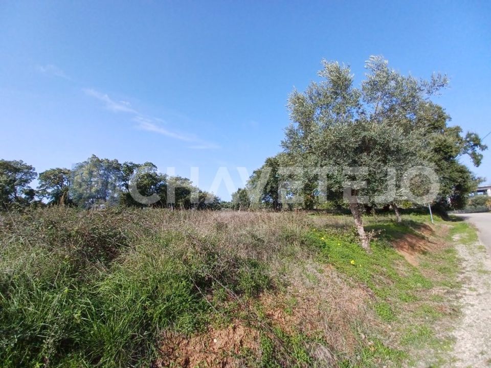 Helårsgrund i Casais e Alviobeira, Santarem - foto 4