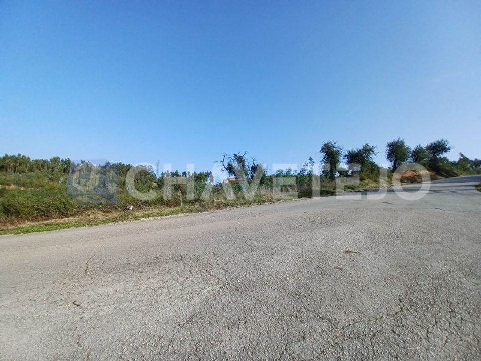 Helårsgrund i Asseiceira, Santarem - foto 1