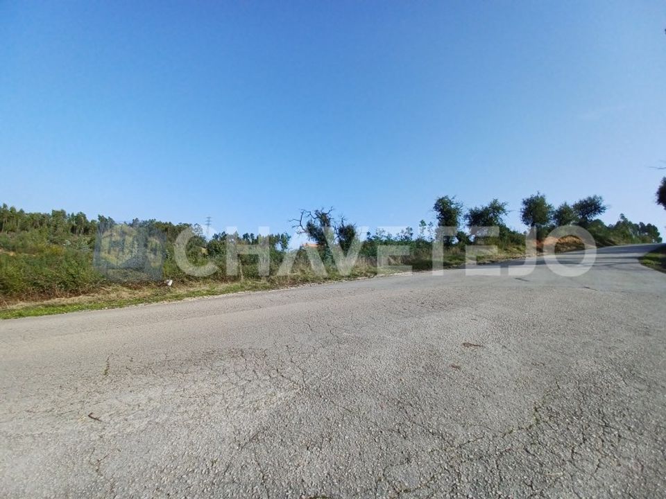 Helårsgrund i Asseiceira, Santarem - foto 3