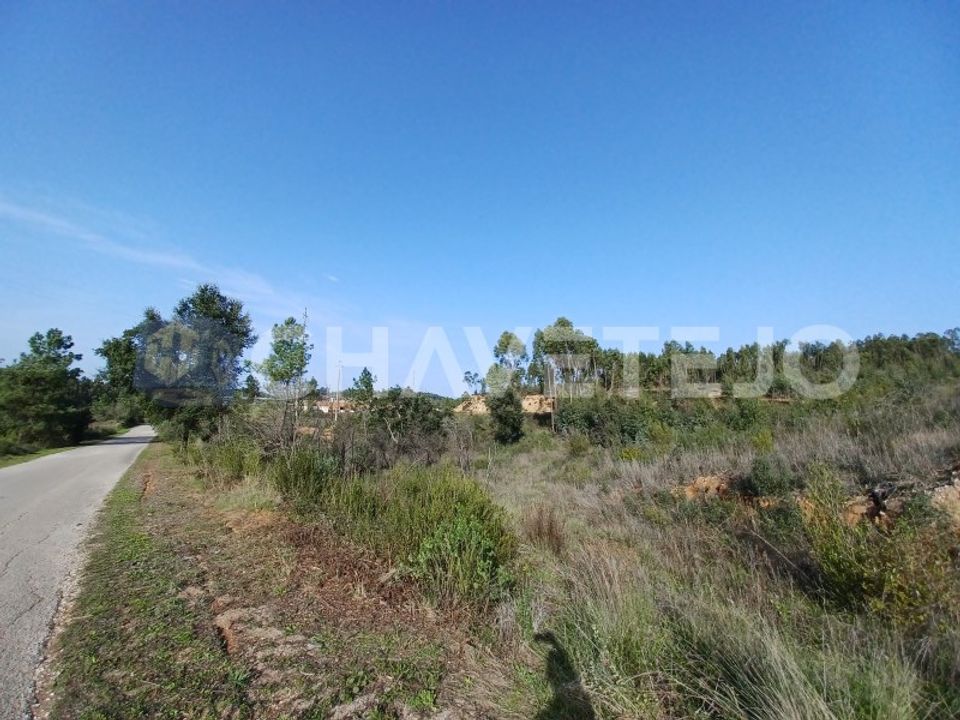 Helårsgrund i Asseiceira, Santarem - foto 4