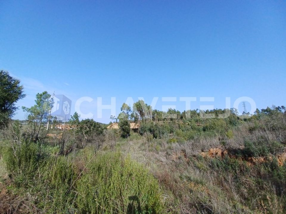Helårsgrund i Asseiceira, Santarem - foto 5