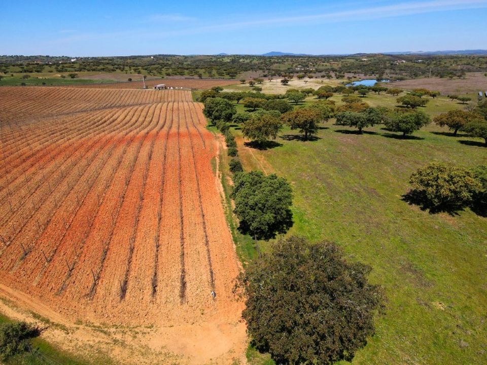 Helårsgrund i Santiago Maior, Evora - foto 3