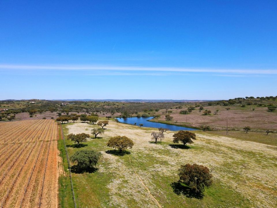 Helårsgrund i Santiago Maior, Evora - foto 5