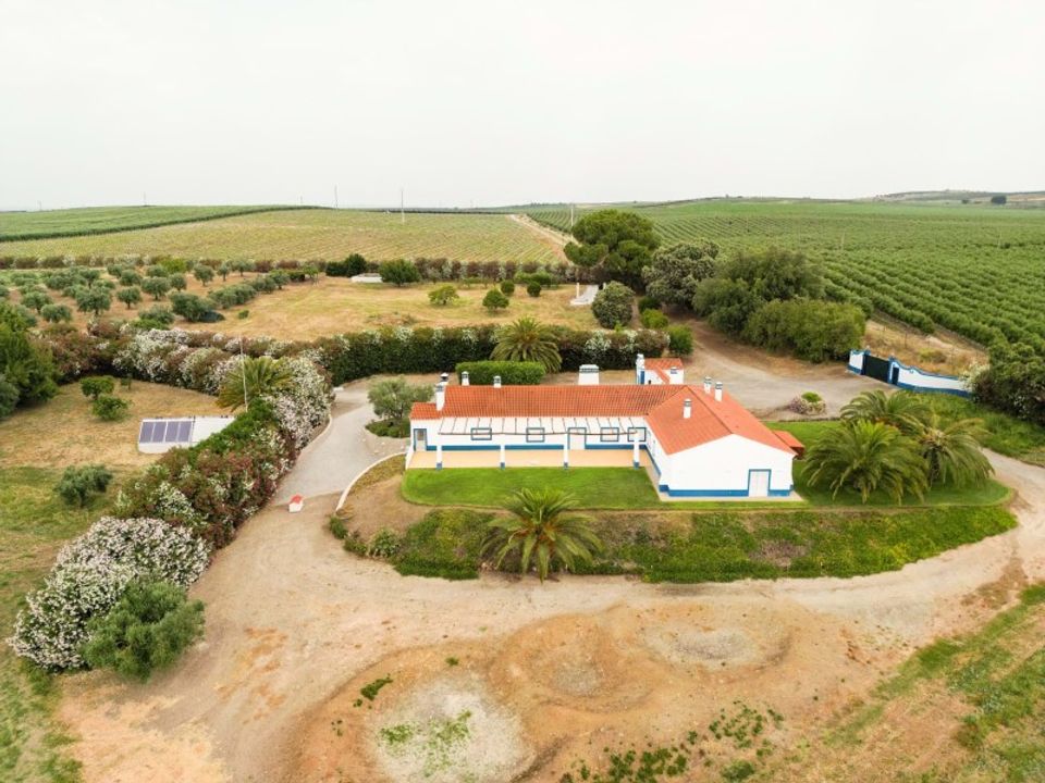 Villa i Ferreira do Alentejo, Beja - foto 4
