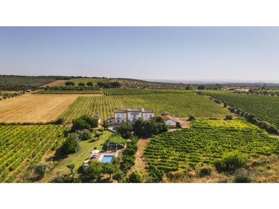 Farm i Estremoz, Evora - foto 2