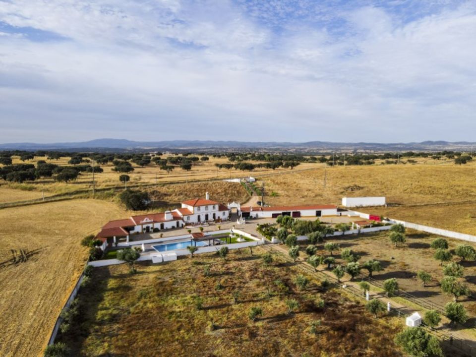 Farm i Elvas, Portalegre - foto 1