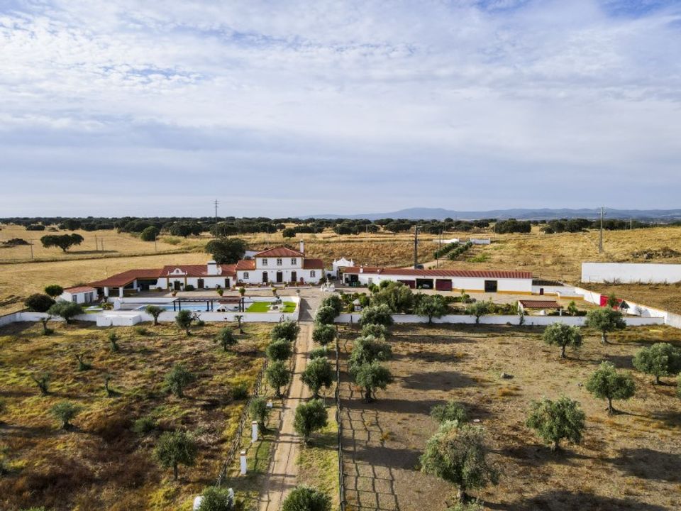 Farm i Elvas, Portalegre - foto 2