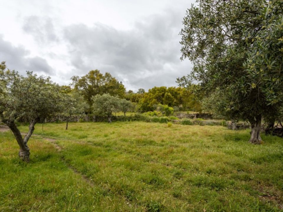 Ruïna a Castelo de Vide, Portalegre - foto 2