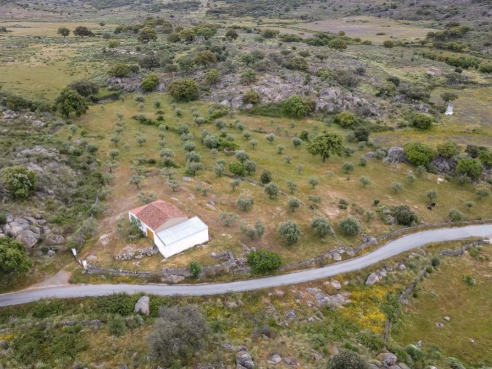 Gård i Castelo de Vide, Portalegre - bilde 1