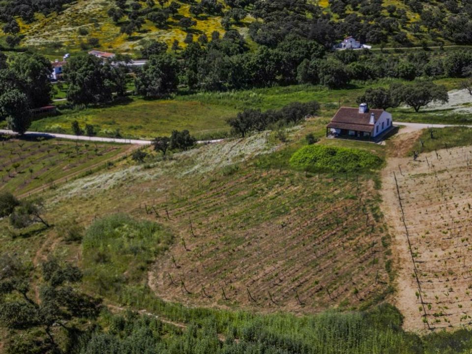 Farm hus i Vila Vicosa, Evora - foto 5