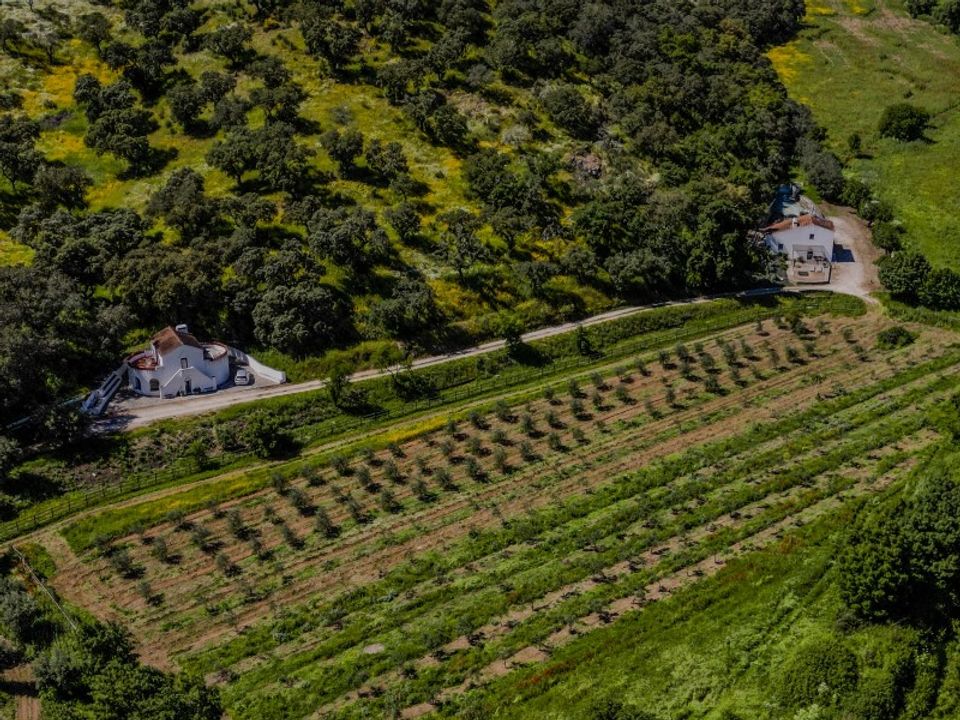 Farm hus i Vila Vicosa, Evora - foto 4