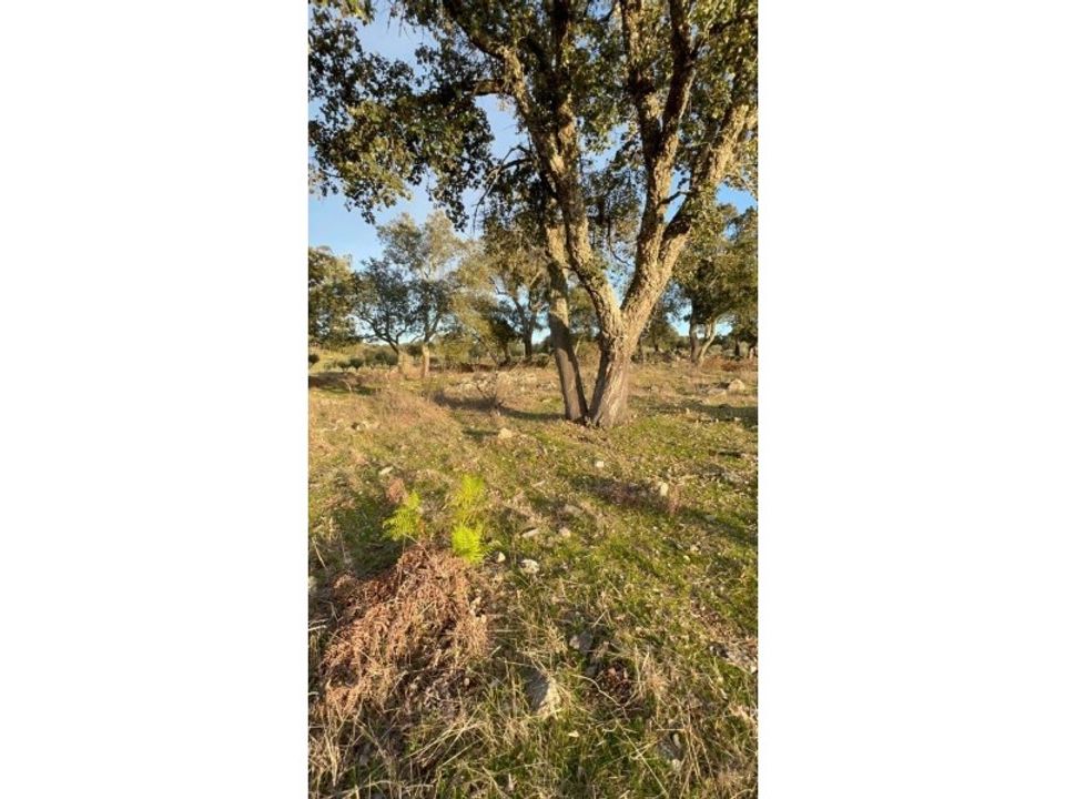 Farm hus i Fortios, Portalegre - foto 4