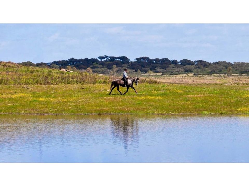 Farm i Ourique, Beja - foto 2
