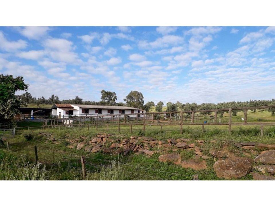 Farm i Ourique, Beja - foto 4