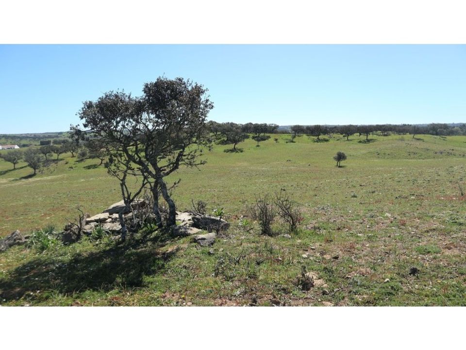 Helårsgrund i Ourique, Beja - foto 2
