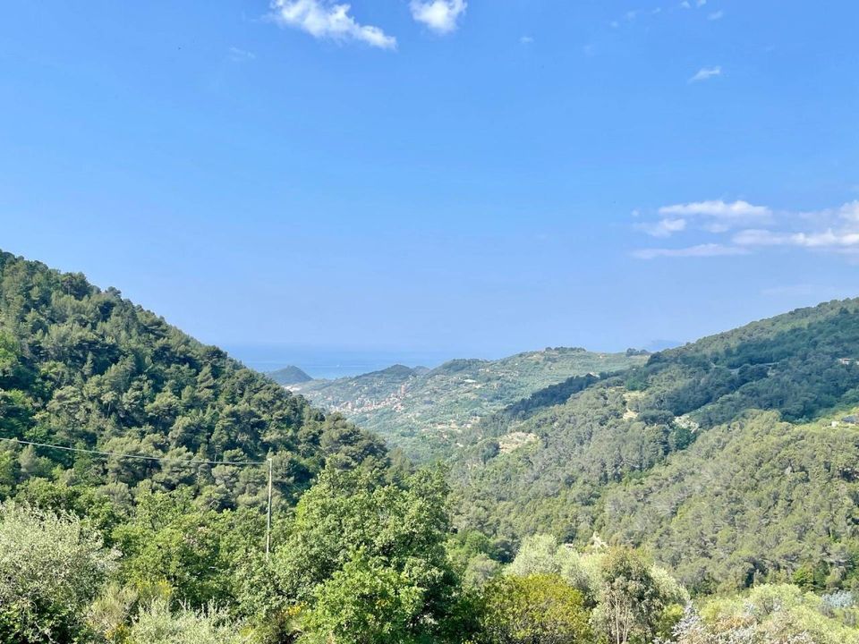 Villa in Seborga, Imperia - foto 3