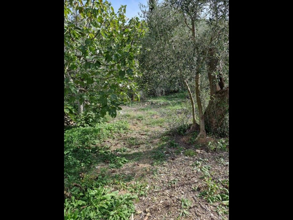Villa i Imperia, Imperia - foto 3