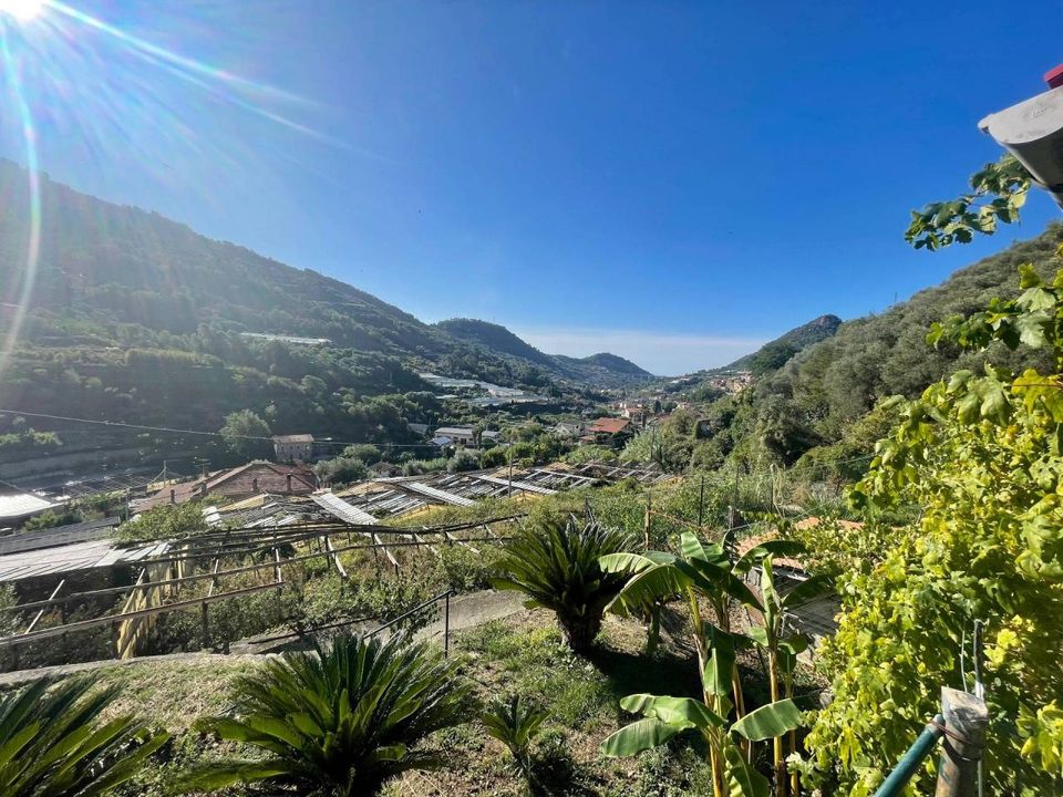 Villa i San Biagio della Cima, Imperia - foto 5