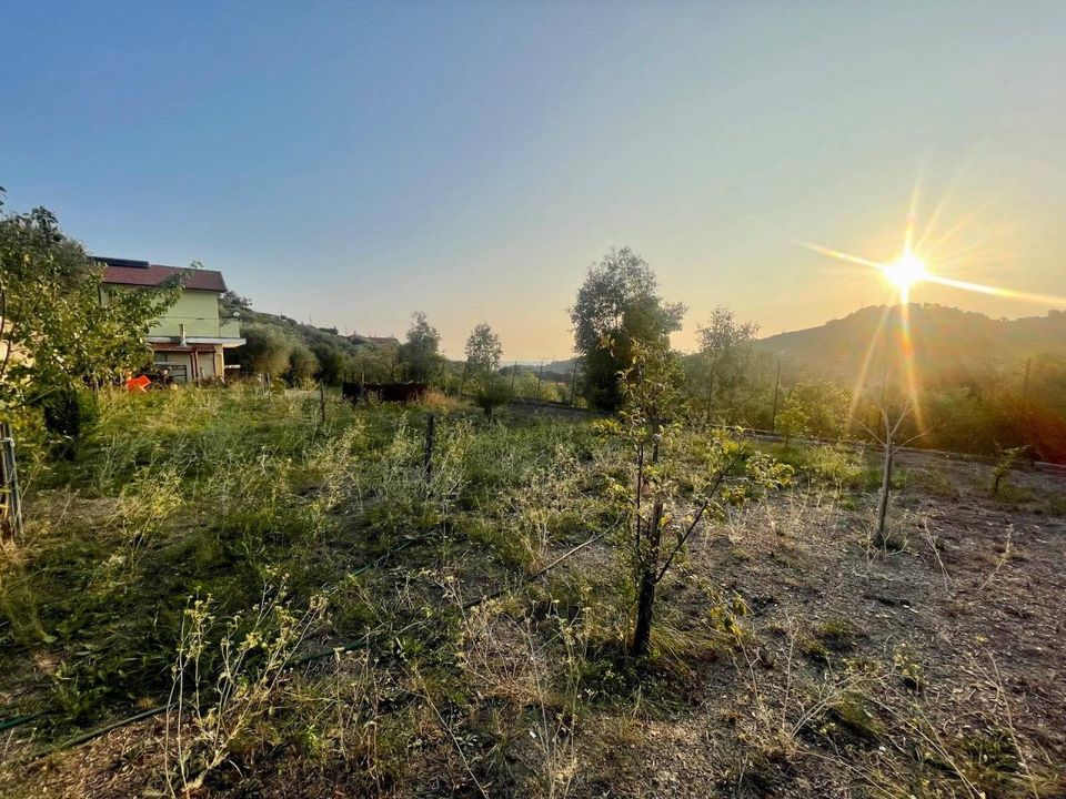 Villa i Vallebona, Imperia - foto 3