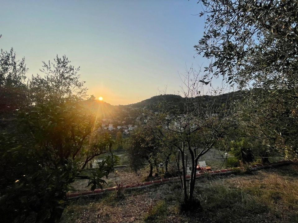 Villa i Vallebona, Imperia - foto 4