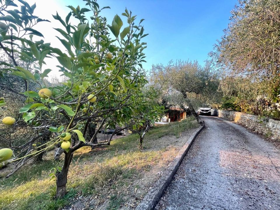 Villa i Vallebona, Imperia - foto 5