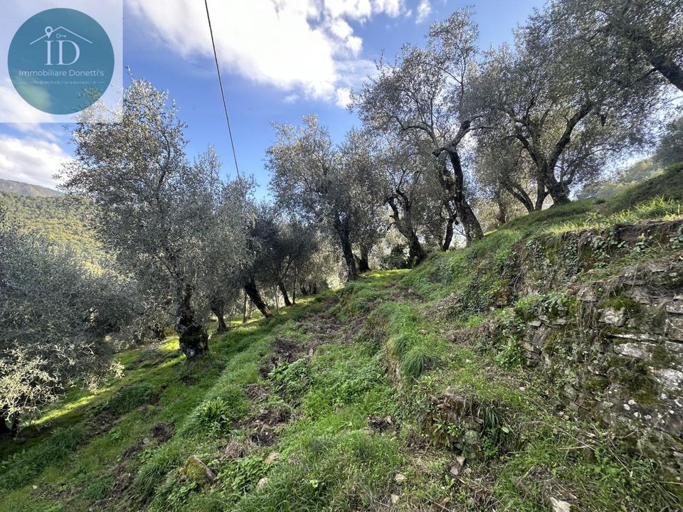 Landejendom i Apricale, Imperia - foto 3