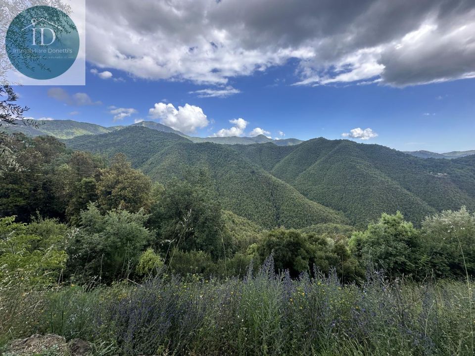 Villa i Bajardo, Imperia - foto 2