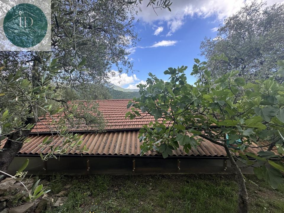 Villa i Bajardo, Imperia - foto 3