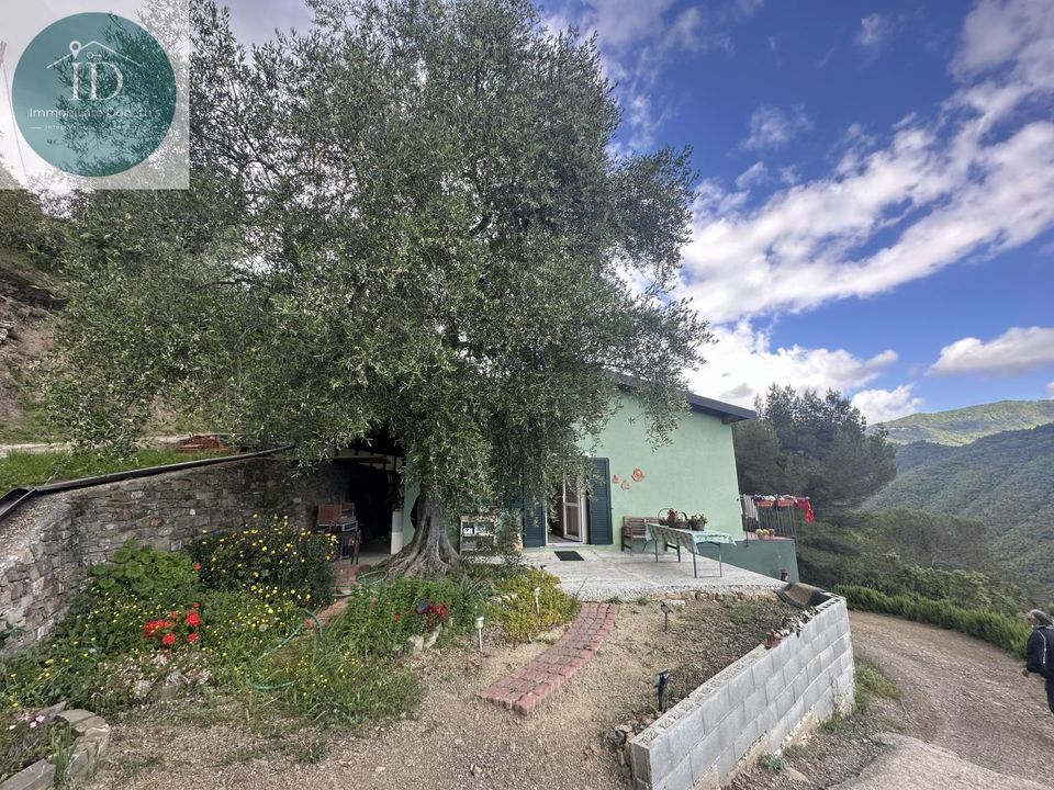 Villa i Bajardo, Imperia - foto 5