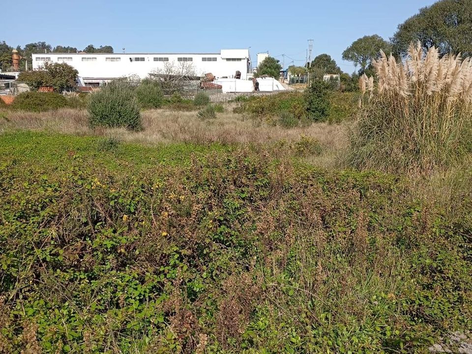 Helårsgrund i Sintra, Lisbon - foto 3