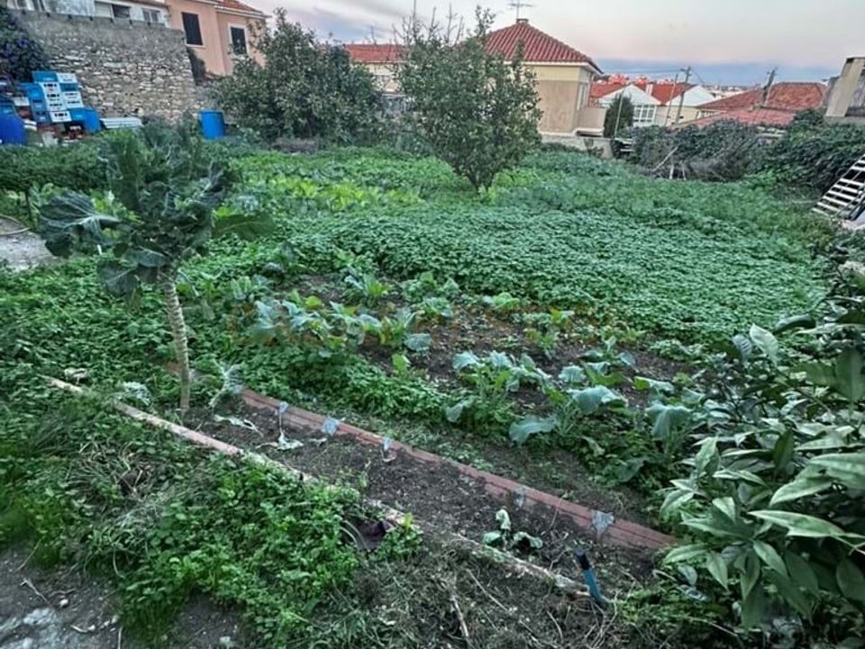 Helårsgrund i Sao Domingos de Rana, Lisbon - foto 5