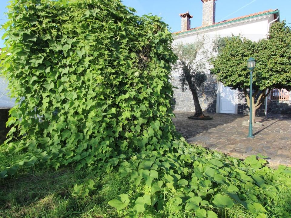 Villa i Pedrogao Grande, Leiria - foto 2