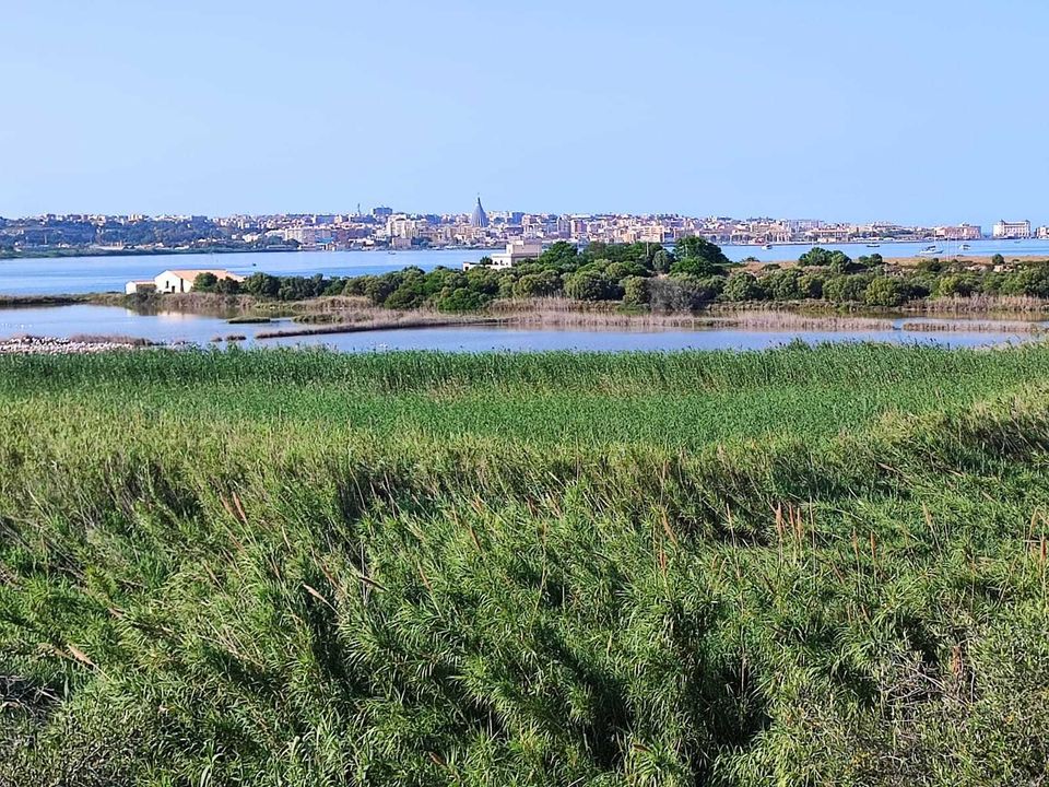 Villa i Siracusa, Siracusa - foto 4