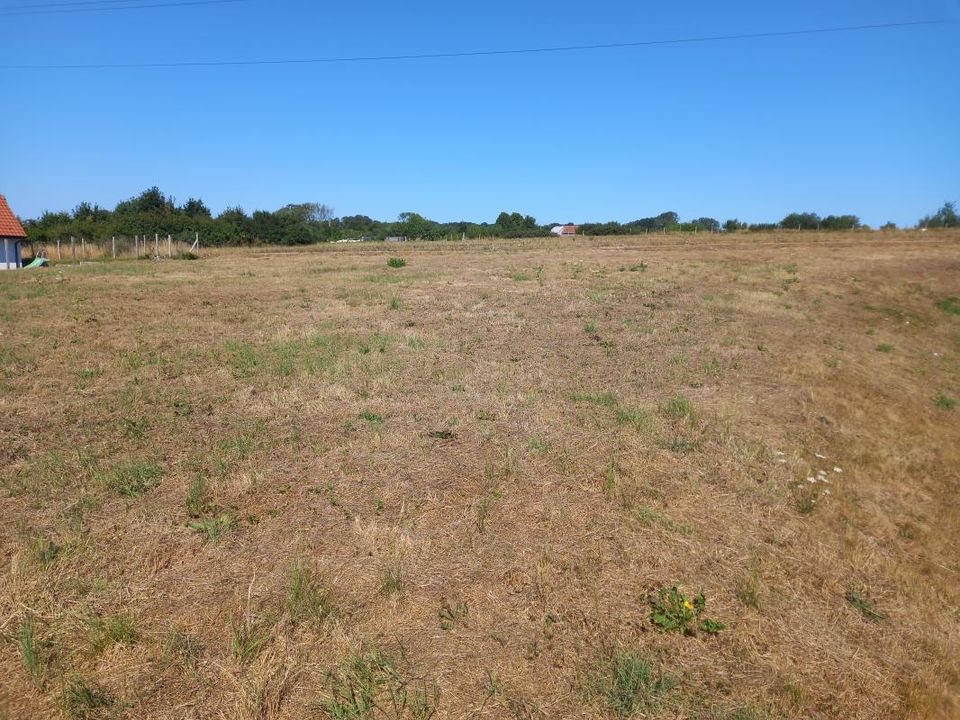 Helårsgrund i Lumbres, Pas-de-Calais - foto 3