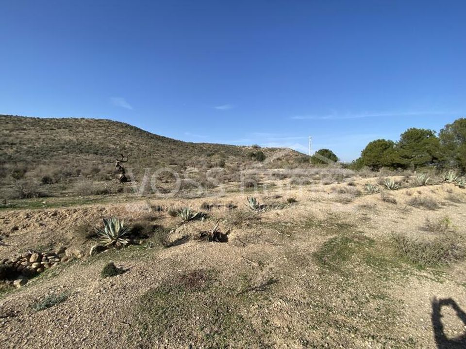 Helårsgrund i Huercal-Overa, Almeria - foto 4