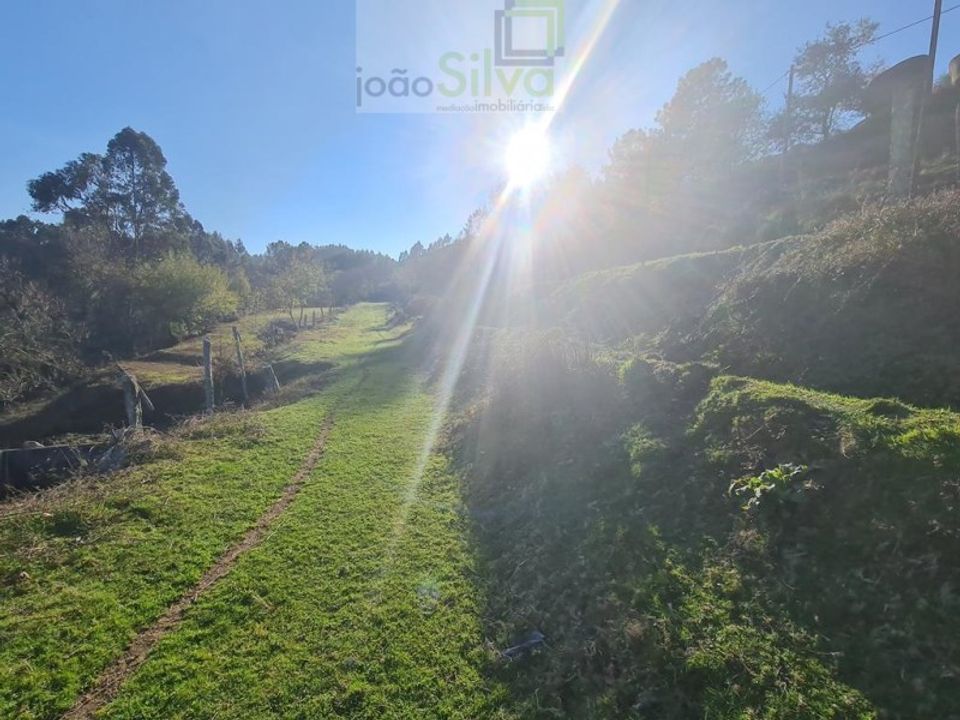 Farm i Gondufe, Viana do Castelo - foto 3