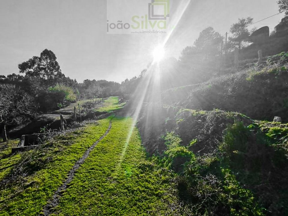 Farm i Gondufe, Viana do Castelo - foto 4