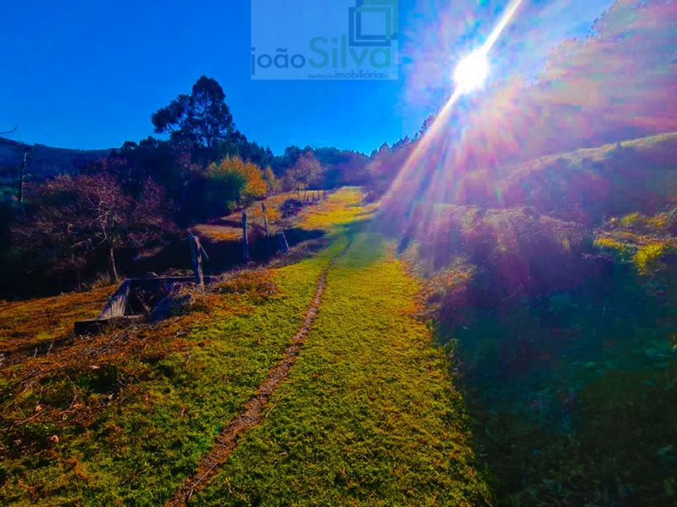 Farm i Gondufe, Viana do Castelo - foto 5