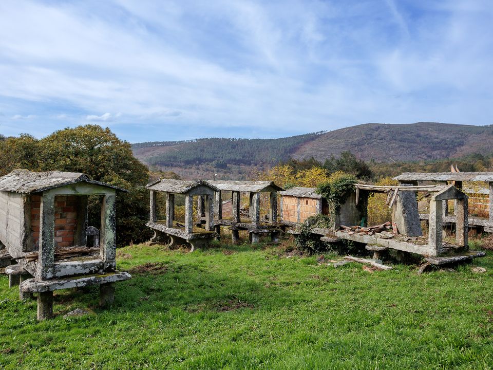 Villa i Beariz, Orense - foto 2
