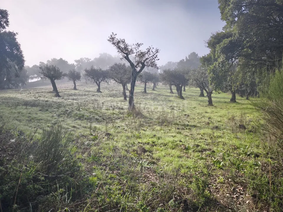 Helårsgrund i Fundao, Castelo Branco - foto 1