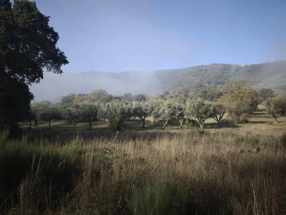 Helårsgrund i Fundao, Castelo Branco - foto 2