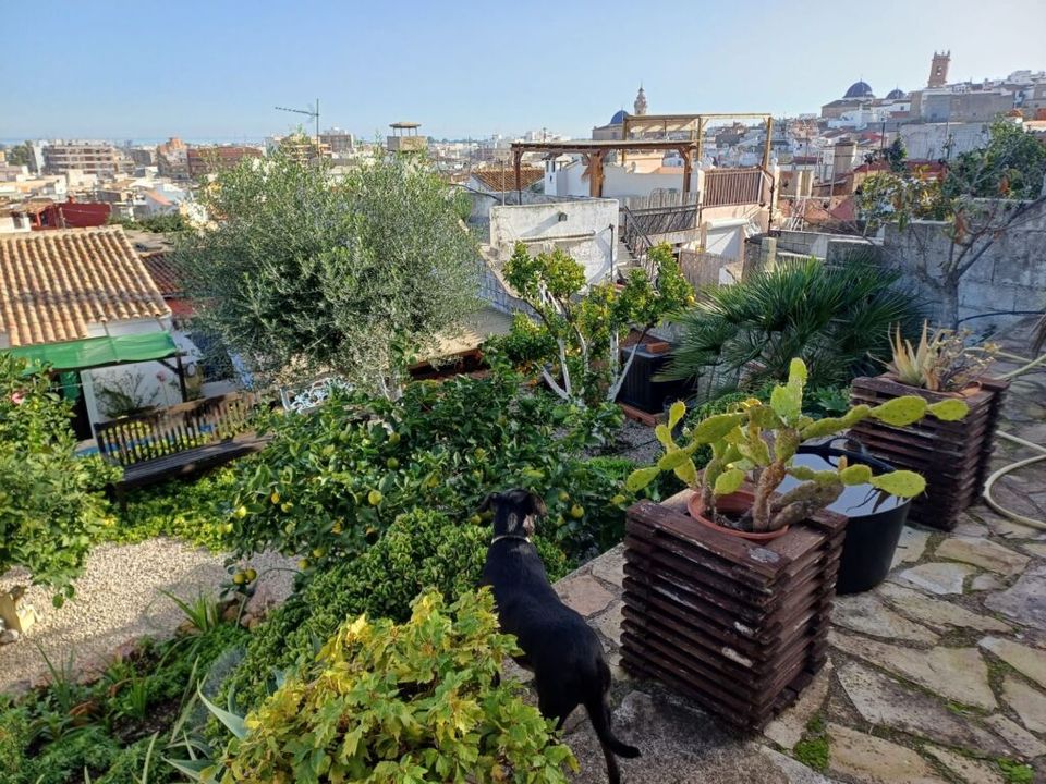 Byhus i Oliva, Valencia - foto 2