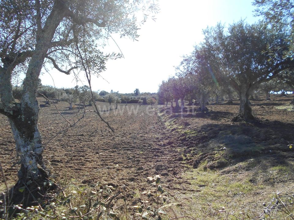 Erhvervsejendom i Nisa, Portalegre - foto 1