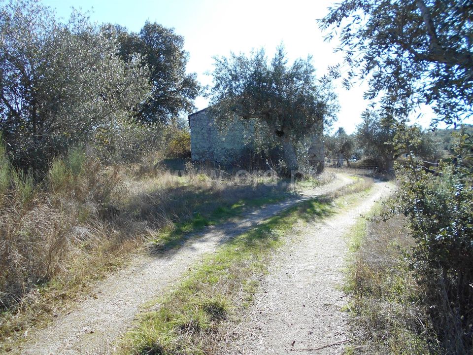 Erhvervsejendom i Nisa, Portalegre - foto 5